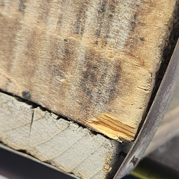 Rustic Wood Wall-Mount Mailbox With Bear & Pine‎ Tree Accents - Picture 11 of 11